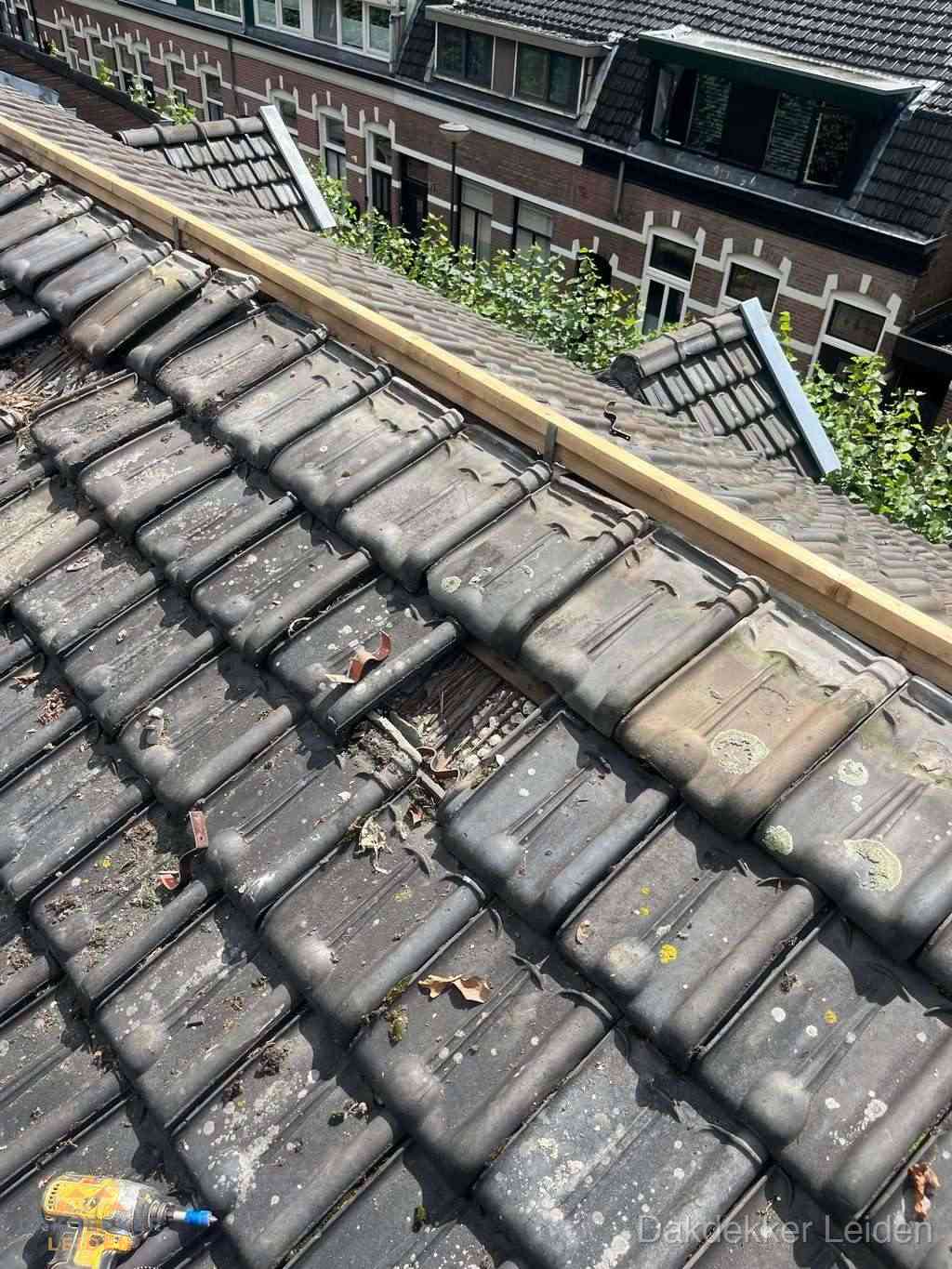 Dakonderhoud Leiden Dakonderhoud Leiden