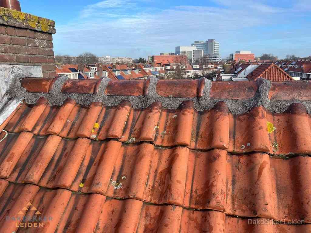 Leiden Daken Renoveren Leiden Daken Renoveren